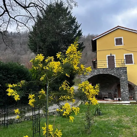 Sorprendente Oasi Nei Boschi Di Savona
