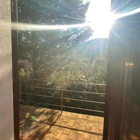 Sorprendente Oasi Nei Boschi Di Savona Altare